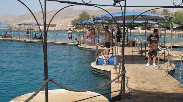 Dolphin Reef in Eilat